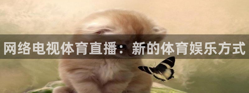 网络电视体育直播：新的体育娱乐方式