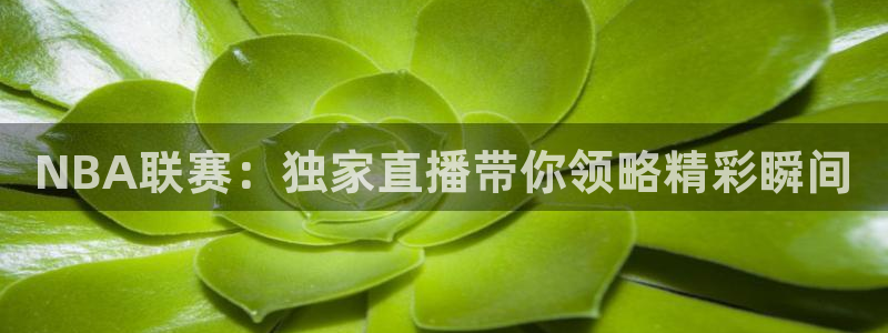 NBA联赛：独家直播带你领略精彩瞬间