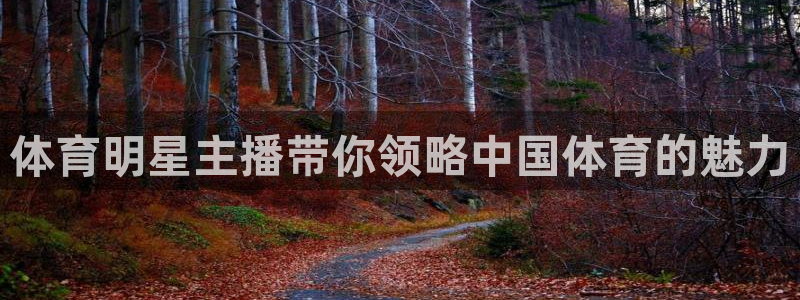 体育明星主播带你领略中国体育的魅力