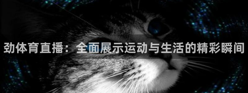 劲体育直播：全面展示运动与生活的精彩瞬间