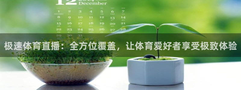 极速体育直播：全方位覆盖，让体育爱好者享受极致体验