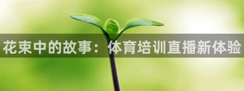 花束中的故事：体育培训直播新体验
