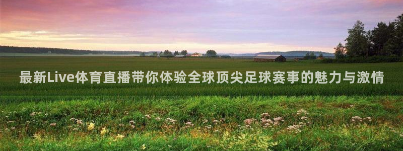 最新Live体育直播带你体验全球顶尖足球赛事的魅力与激情