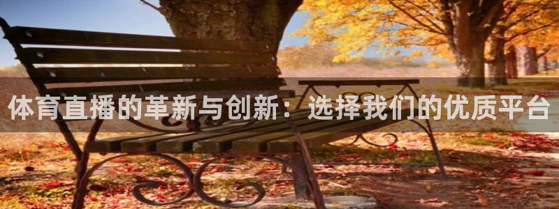 体育直播的革新与创新：选择我们的优质平台