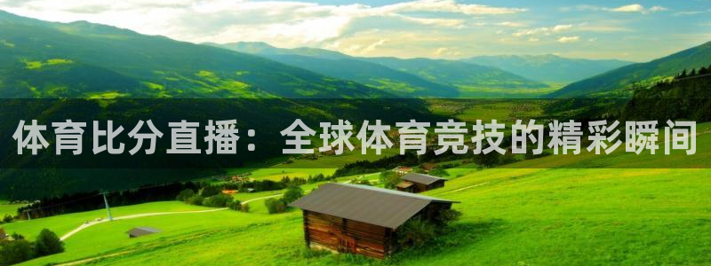 体育比分直播：全球体育竞技的精彩瞬间