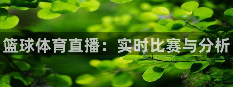 篮球体育直播：实时比赛与分析